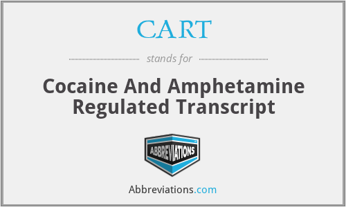CART - Cocaine And Amphetamine Regulated Transcript