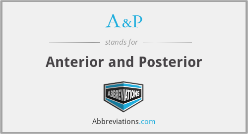 A&P - Anterior and Posterior