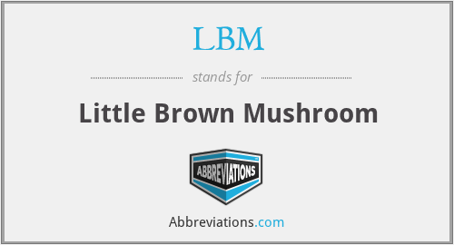 LBM - Little Brown Mushroom