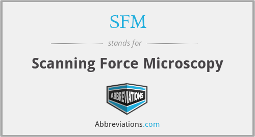 SFM - Scanning Force Microscopy