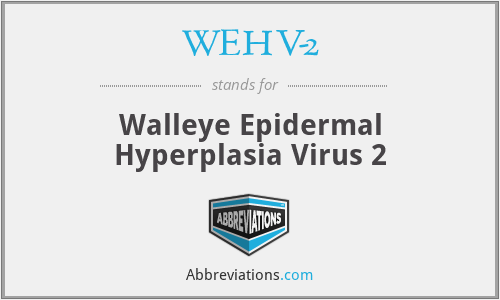 WEHV-2 - Walleye Epidermal Hyperplasia Virus 2