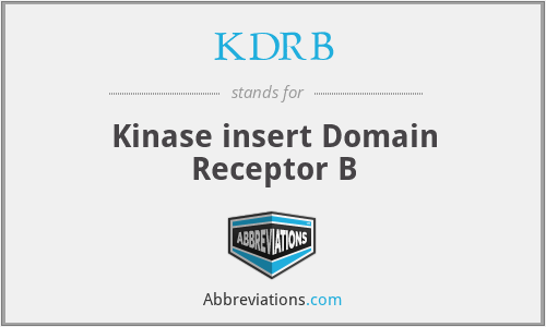 KDRB - Kinase insert Domain Receptor B