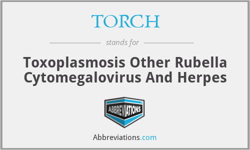 TORCH - Toxoplasmosis Other Rubella Cytomegalovirus And Herpes