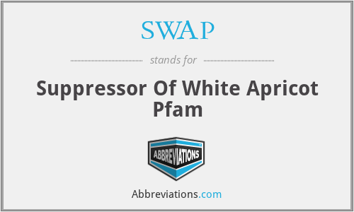 SWAP - Suppressor Of White Apricot Pfam