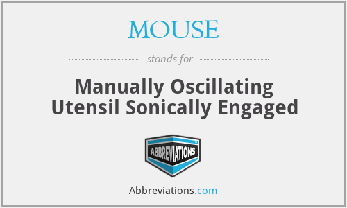 MOUSE - Manually Oscillating Utensil Sonically Engaged