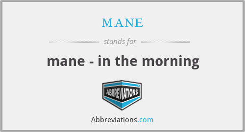 mane - mane - in the morning