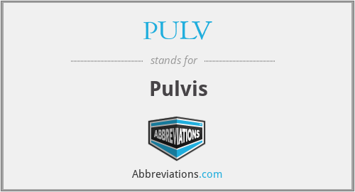 PULV - Pulvis
