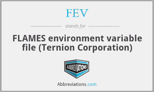FEV - FLAMES environment variable file (Ternion Corporation)