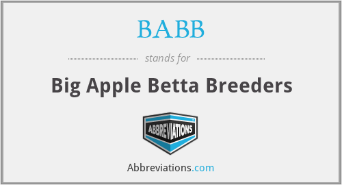 BABB - Big Apple Betta Breeders