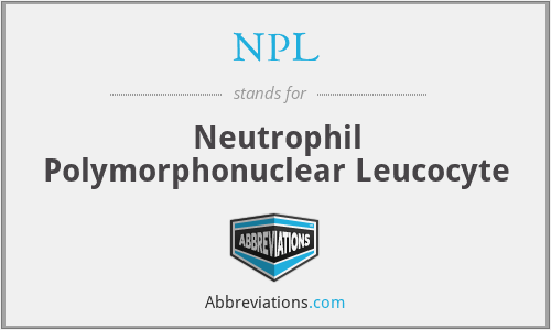NPL - Neutrophil Polymorphonuclear Leucocyte