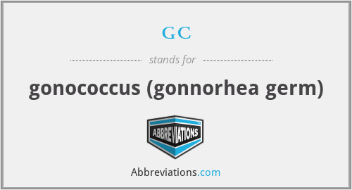 gc - gonococcus (gonnorhea germ)