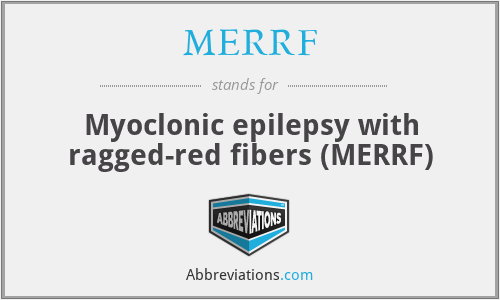 MERRF - Myoclonic epilepsy with ragged-red fibers (MERRF)