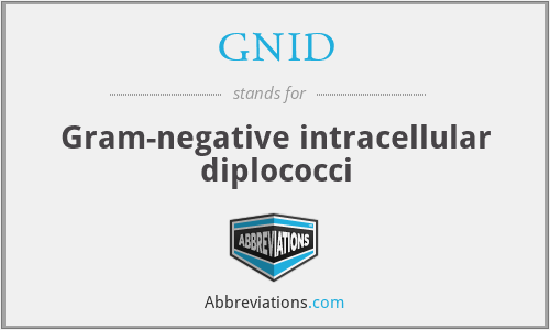 GNID - Gram-negative intracellular diplococci