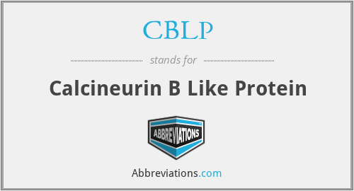 CBLP - Calcineurin B Like Protein