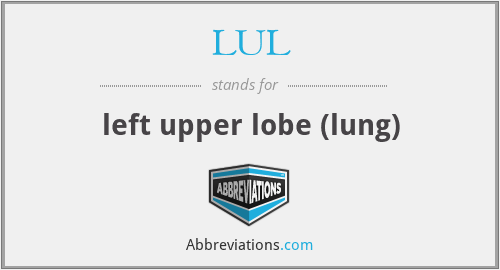 LUL - left upper lobe (lung)