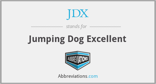 JDX - Jumping Dog Excellent
