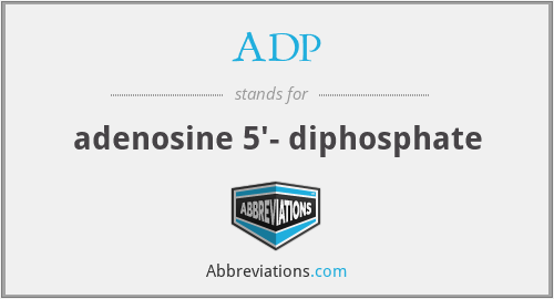 ADP - adenosine 5'- diphosphate