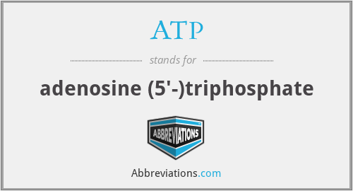 ATP - adenosine (5'-)triphosphate