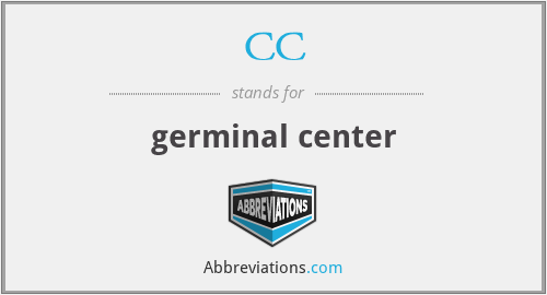 CC - germinal center
