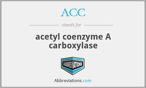 ACC - acetyl coenzyme A carboxylase