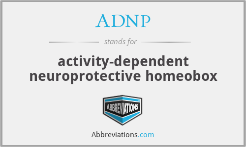 ADNP - activity-dependent neuroprotective homeobox