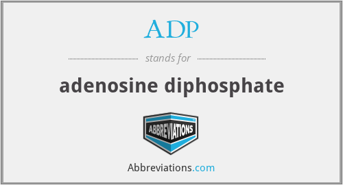 ADP - adenosine diphosphate