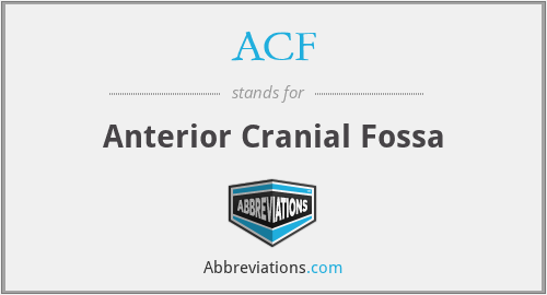 ACF - Anterior Cranial Fossa