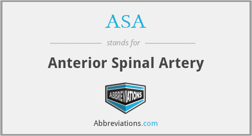 ASA - Anterior Spinal Artery