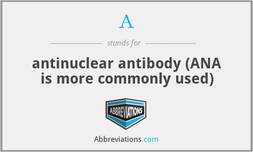 A - antinuclear antibody (ANA is more commonly used)