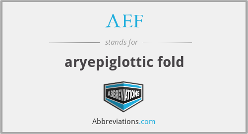 AEF - aryepiglottic fold