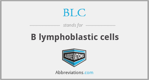 BLC - B lymphoblastic cells