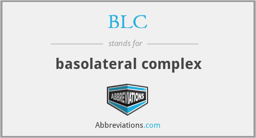 BLC - basolateral complex