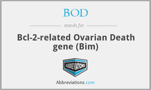 BOD - Bcl-2-related Ovarian Death gene (Bim)