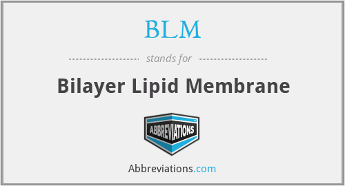 BLM - Bilayer Lipid Membrane