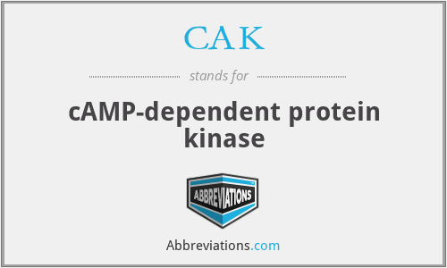 CAK - cAMP-dependent protein kinase