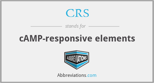 CRS - cAMP-responsive elements