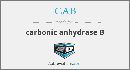 CAB - carbonic anhydrase B