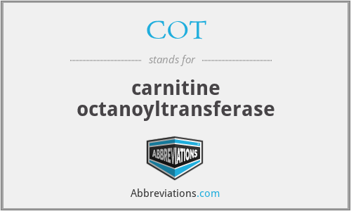 COT - carnitine octanoyltransferase