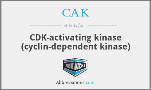 CAK - CDK-activating kinase (cyclin-dependent kinase)