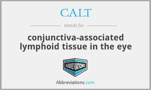 CALT - conjunctiva-associated lymphoid tissue in the eye