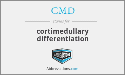 CMD - cortimedullary differentiation