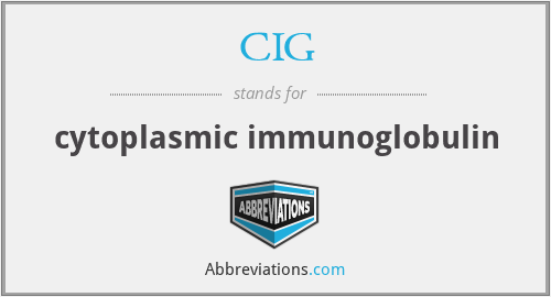 CIG - cytoplasmic immunoglobulin