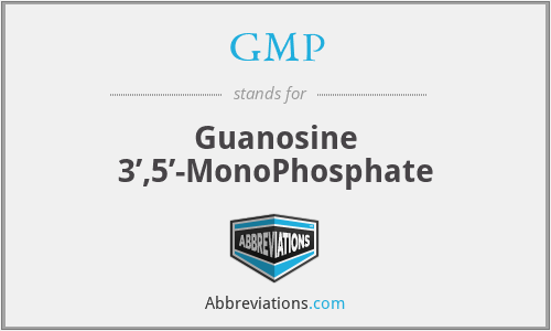 GMP - Guanosine 3’,5’-MonoPhosphate