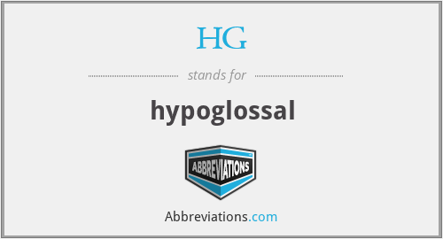 HG - hypoglossal