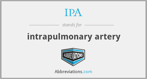 IPA - intrapulmonary artery