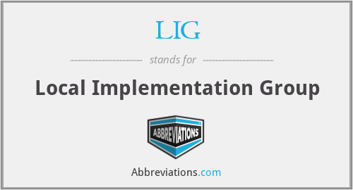 LIG - Local Implementation Group