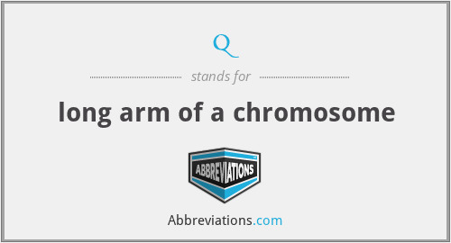 q - long arm of a chromosome