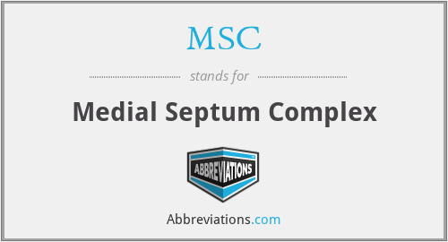 MSC - Medial Septum Complex