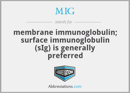 MIG - membrane immunoglobulin; surface immunoglobulin (sIg) is generally preferred