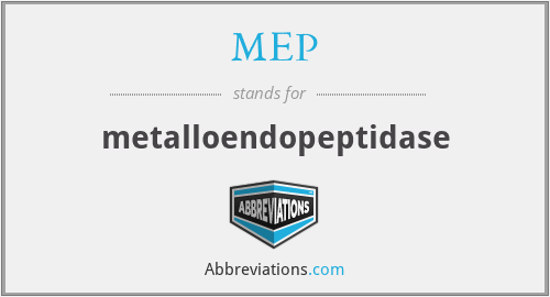 MEP - metalloendopeptidase